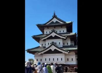 1.800 pessoas puxam castelo de 360 toneladas de volta ao lugar no Japão