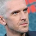 Dan Stevens, de
