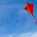 Piloto de paramotor morre após linha de pipa atingir equipamento e provocar queda em Itanhaém
