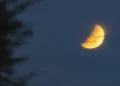Assistiu ao eclipse lunar? Veja as imagens do último de 2026