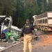 Acidente entre ônibus e carreta deixa 21 mortos e 4 feridos no Paraná