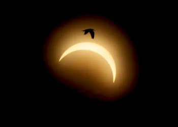 Eclipse total transforma o dia em noite na Europa; veja fotos do fenômeno