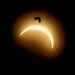 Eclipse total transforma o dia em noite na Europa; veja fotos do fenômeno