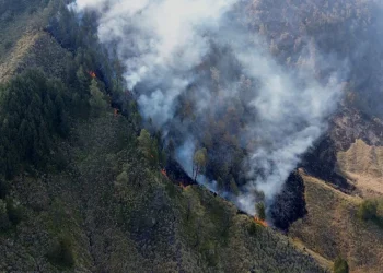 Incêndios fecham escolas e mobilizam 48 mil bombeiros na Indonésia