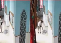Mulher invade igreja e joga fezes sobre cruz no interior de SP; veja