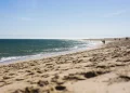 Oceanos batem recorde de calor em julho e Europa enfrenta seca extrema