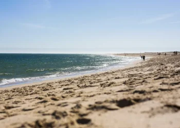 Oceanos batem recorde de calor em julho e Europa enfrenta seca extrema