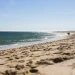 Oceanos batem recorde de calor em julho e Europa enfrenta seca extrema