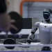 Robôs humanoides podem viver