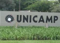 Unicamp abre inscrições para vestibular 2027 com novos cursos de IA e relações internacionais