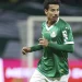 Palmeiras segura pressão do Santos, elimina rival e avança na Copa do Brasil