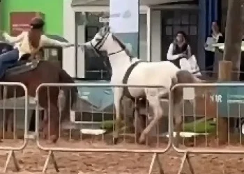 Cavalo desgovernado é controlado por menina de 12 anos no RS
