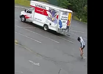 Animal misterioso faz 3 vítimas e aterroriza bairro nos EUA; vídeo