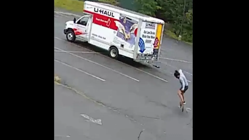 Animal misterioso faz 3 vítimas e aterroriza bairro nos EUA; vídeo