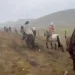 Serra do Rio Grande do Sul registra neve e temperatura próxima de 0°C