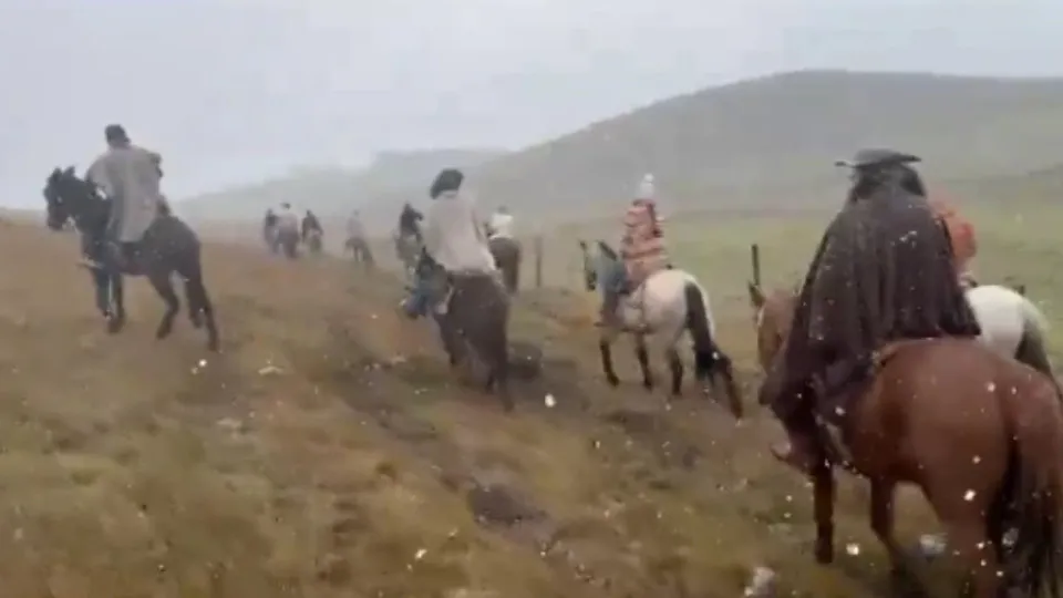 Serra do Rio Grande do Sul registra neve e temperatura próxima de 0°C