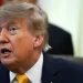 Trump pede fim da guerra a Putin, que diz não ter