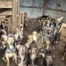 Mais de 100 cães são resgatados de