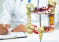 Em 13 anos, doença inflamatória intestinal cresce 5 vezes no Brasil