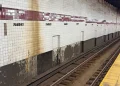 Homem morre após sacola ficar presa na porta do metrô em Nova York