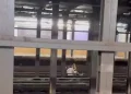 Amigos sentam nos trilhos do metrô e morrem atingidos por trem; vídeo