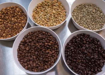 Brasil deve colher recorde de 67,6 milhões de sacas de café em 2026