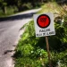 Navegadora de 20 anos morre em acidente no Rallye Villa de Llanes