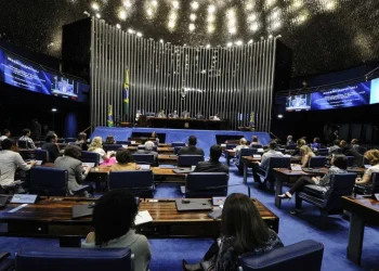 Eleições 2026: bancada feminina pode chegar a 22 integrantes no Senado
