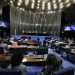 Eleições 2026: bancada feminina pode chegar a 22 integrantes no Senado