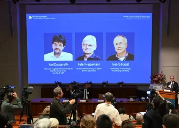Nobel de Medicina de 2026 premia os avanços da optogenética