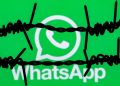 WhatsApp dá mais opções aos pais para monitorar adolescentes