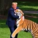 Trump é criticado por fazer piada com morte de homem em ataque de tigre