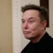 "Dinheiro será irrelevante", diz Elon Musk (a pessoa mais rica do mundo)