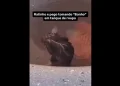 Mulher leva susto ao ver rato