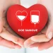 Novas regras para doação de sangue no Brasil: veja o que muda