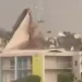 Ventos do furacão Isaías arrancam telhado de hotel na Flórida; vídeo